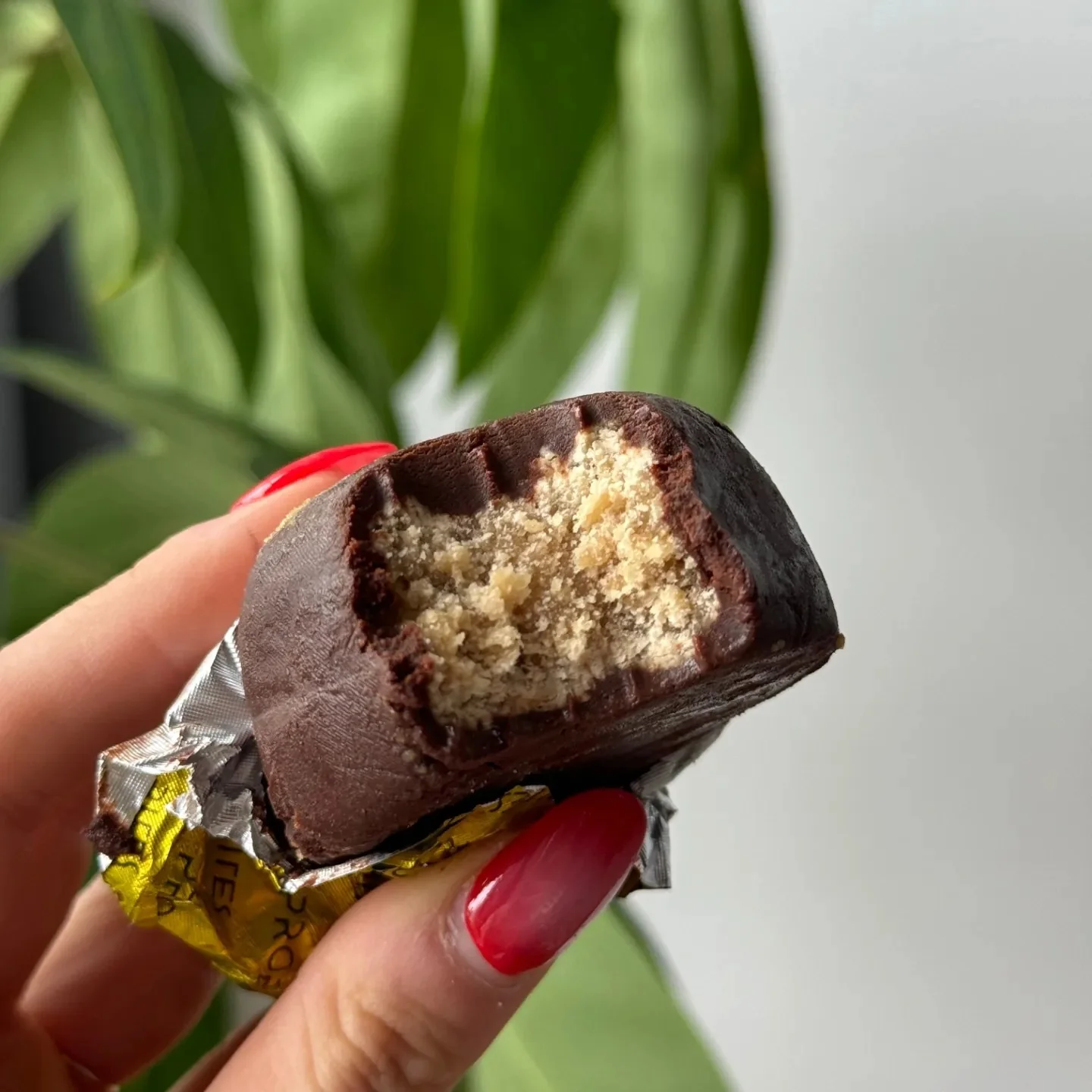 ProBites Protein Balls (1 pack of 2 bites) - Image 7